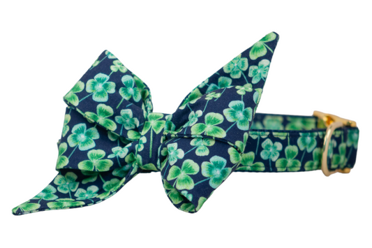 Lucky Clover Belle Bow Collar - Crew LaLa