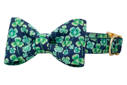 Lucky Clover Bow Tie Dog Collar - Crew LaLa
