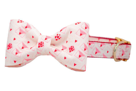Sent With Love Bow Tie Dog Collar