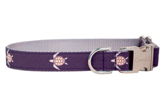 Turtle Time Dog Collar - Crew LaLa