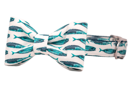 Saltwater School Bow Tie Dog Collar - Crew LaLa