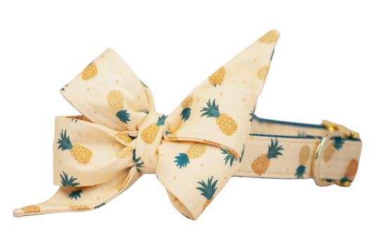 Happy Pineapples Belle Bow Collar