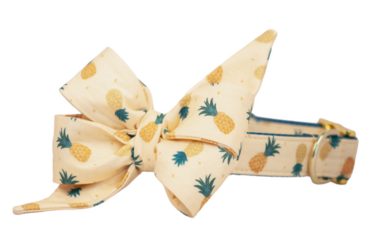 Happy Pineapples Belle Bow Collar - Crew LaLa