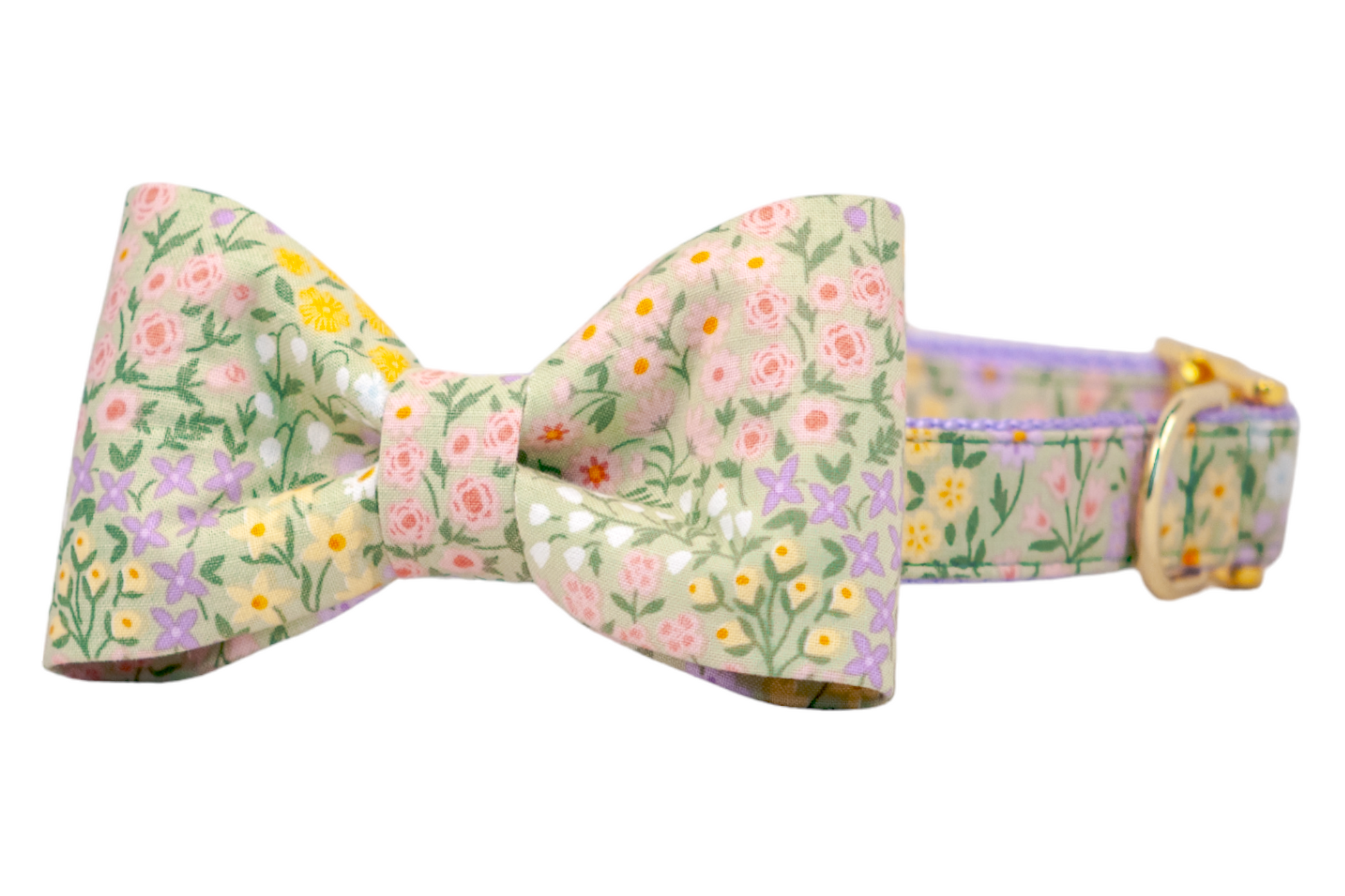 Green Meadow Bow Tie Dog Collar - Crew LaLa