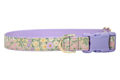 Green Meadow Belle Bow Collar - Crew LaLa