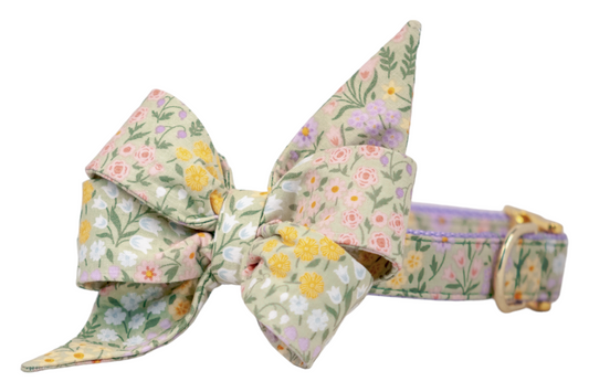 Green Meadow Belle Bow Collar - Crew LaLa