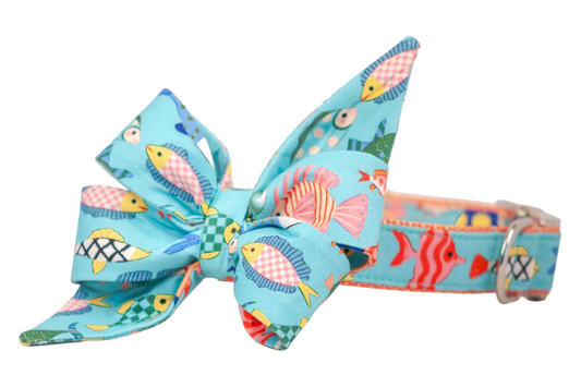 The Reef Belle Bow Collar