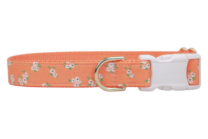 Tangerine Floral Belle Bow Dog Collar - Crew LaLa