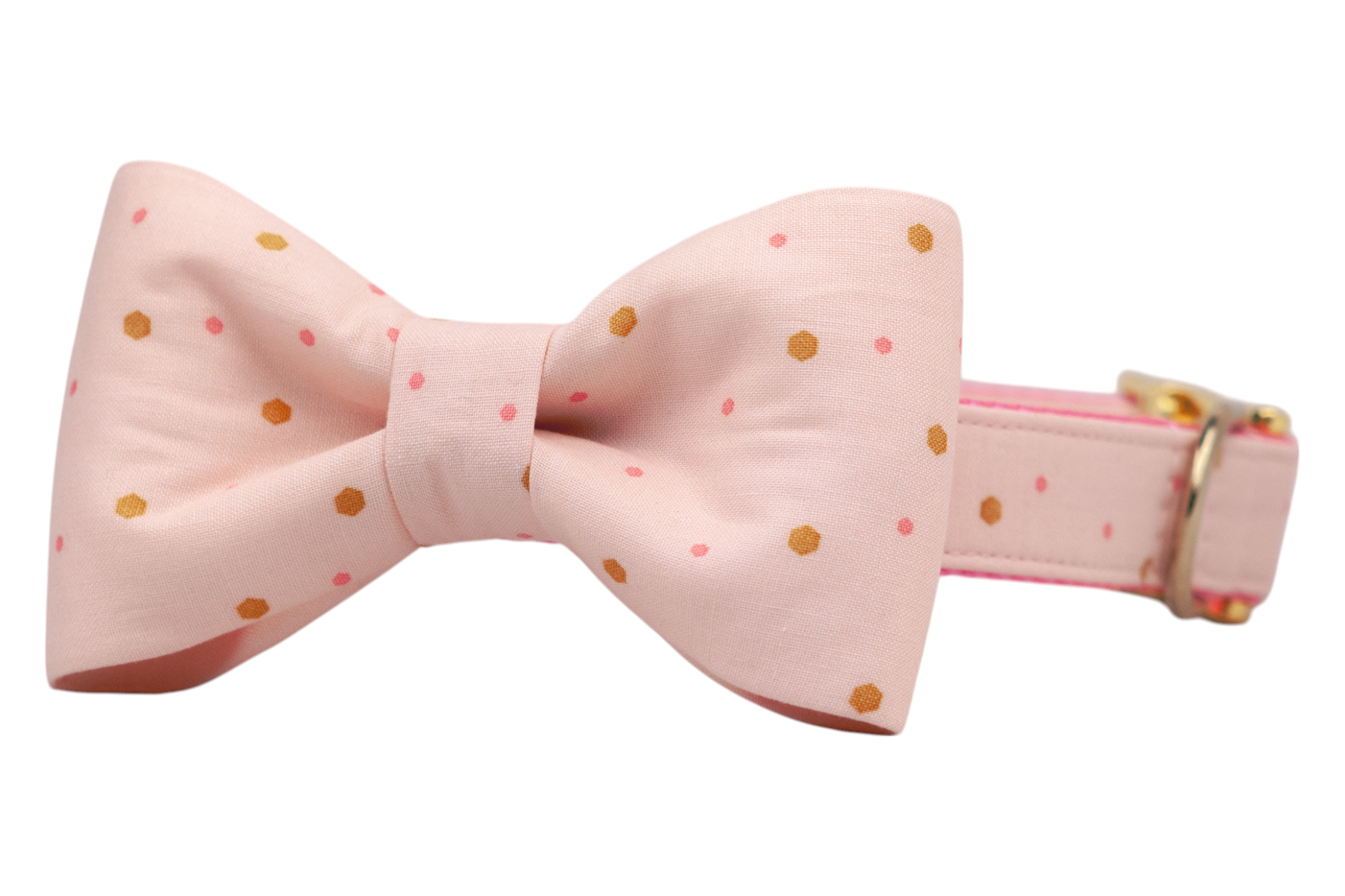 Pretty Party Bow Tie Dog Collar - Crew LaLa
