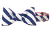 Navy Stripe Bow Tie Dog Collar