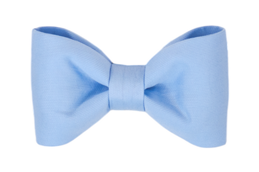 Cornflower Blue Bow Tie - Crew LaLa