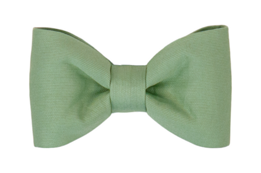 Fern Dog Bow Tie - Crew LaLa