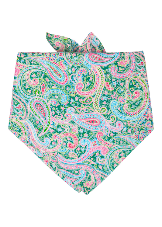 Vera Paisley Dog Bandana - Crew LaLa