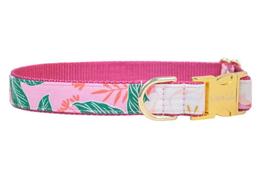 Island Vibes Dog Collar - Crew LaLa