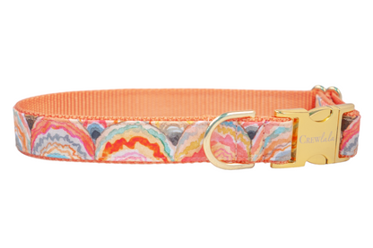 Sunrise Shells Dog Collar - Crew LaLa