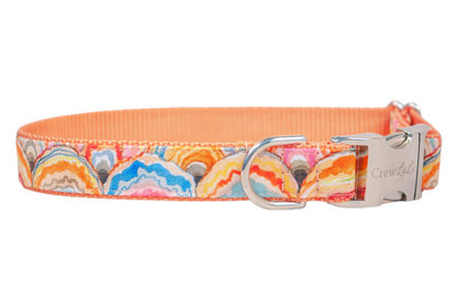 Sunrise Shells Bow Tie Dog Collar - Crew LaLa