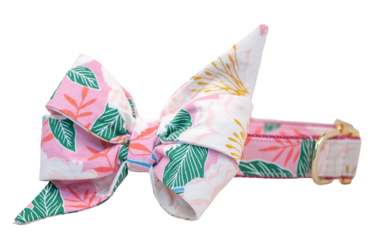 Island Vibes Belle Bow Dog Collar - Crew LaLa