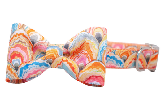 Sunrise Shells Bow Tie Dog Collar - Crew LaLa