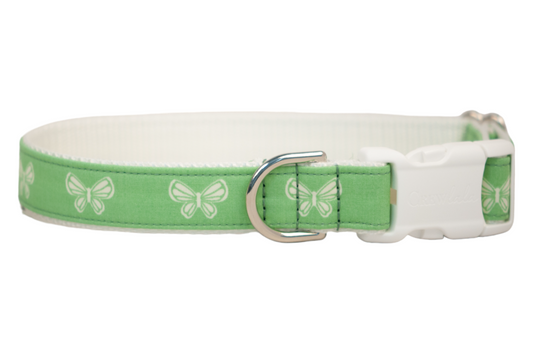 Butterfly Fields Dog Collar - Crew LaLa
