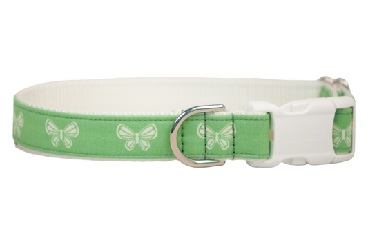 Butterfly Fields Dog Collar