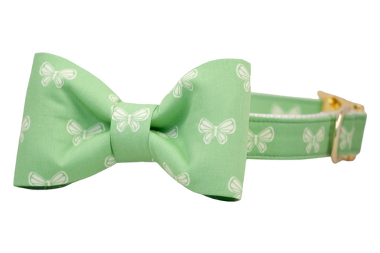 Butterfly Fields Bow Tie Dog Collar - Crew LaLa