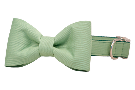 Fern Bow Tie Dog Collar - Crew LaLa