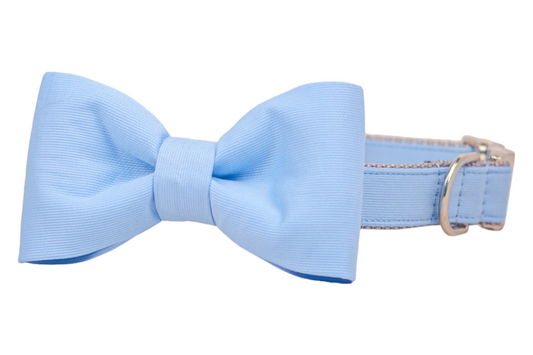 Cornflower Bow Tie Dog Collar - Crew LaLa