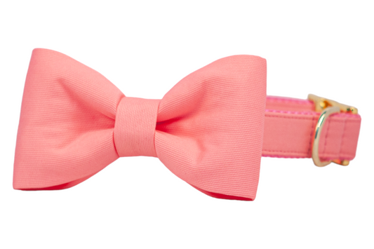 Coral Bow Tie Dog Collar - Crew LaLa