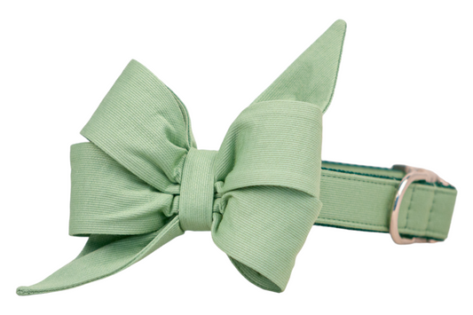 Fern Belle Bow Dog Collar - Crew LaLa