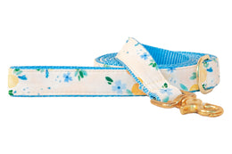 Sunday Brunch on Ice Blue Dog Leash
