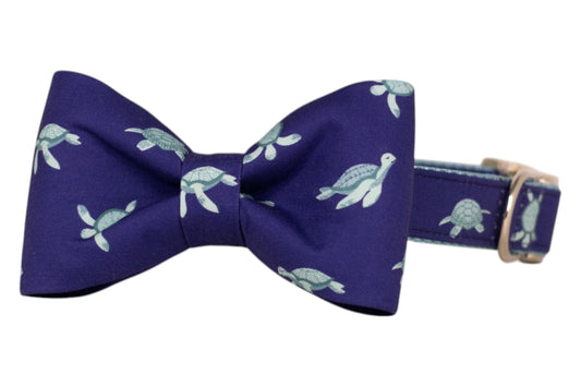 Salty Shells Bow Tie Dog Collar