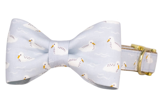 Shore Is Cute Bow Tie Dog Collar