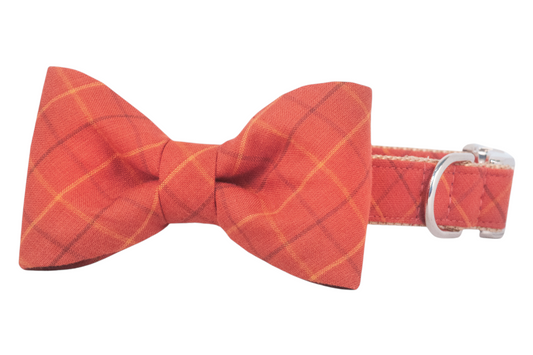 Spiced Chai Plaid Bow Tie Dog Collar