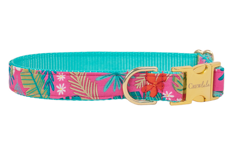 Bali Breeze Dog Collar
