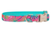 Bali Breeze Dog Collar