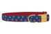 Watermelon Toss Dog Collar