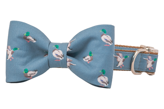 Dapper Duck Bow Tie Dog Collar - Crew LaLa