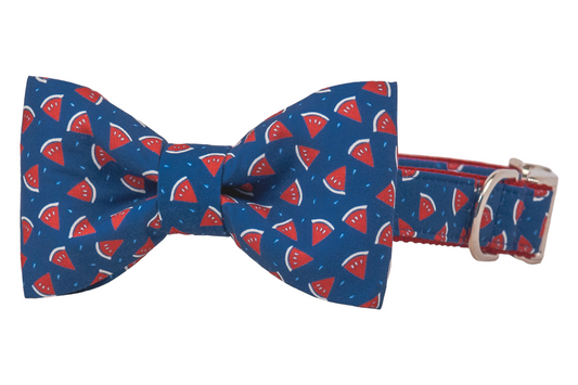 Watermelon Toss Bow Tie Dog Collar - Crew LaLa