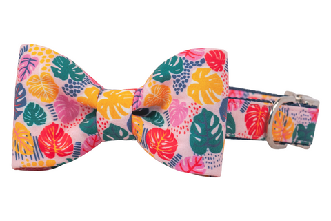 Pop Art Palms Bow Tie Dog Collar