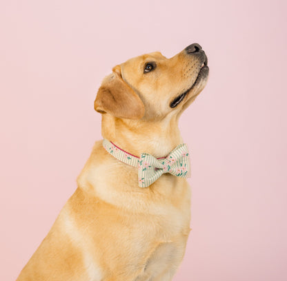 A golden Labrador retriever sitting against a light pink background, looking upward while wearing a cream-colored bow tie with green stripes and pink flowers.