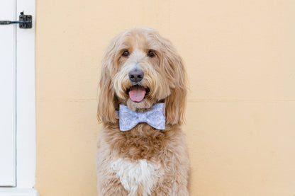 Twilight Stems Bow Tie Dog Collar - Crew LaLa