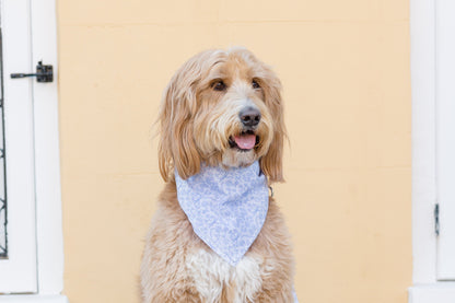 Twilight Stems Dog Bandana - Crew LaLa