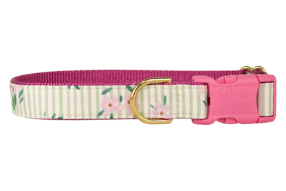 Vineyard Blooms Dog Collar - Crew LaLa
