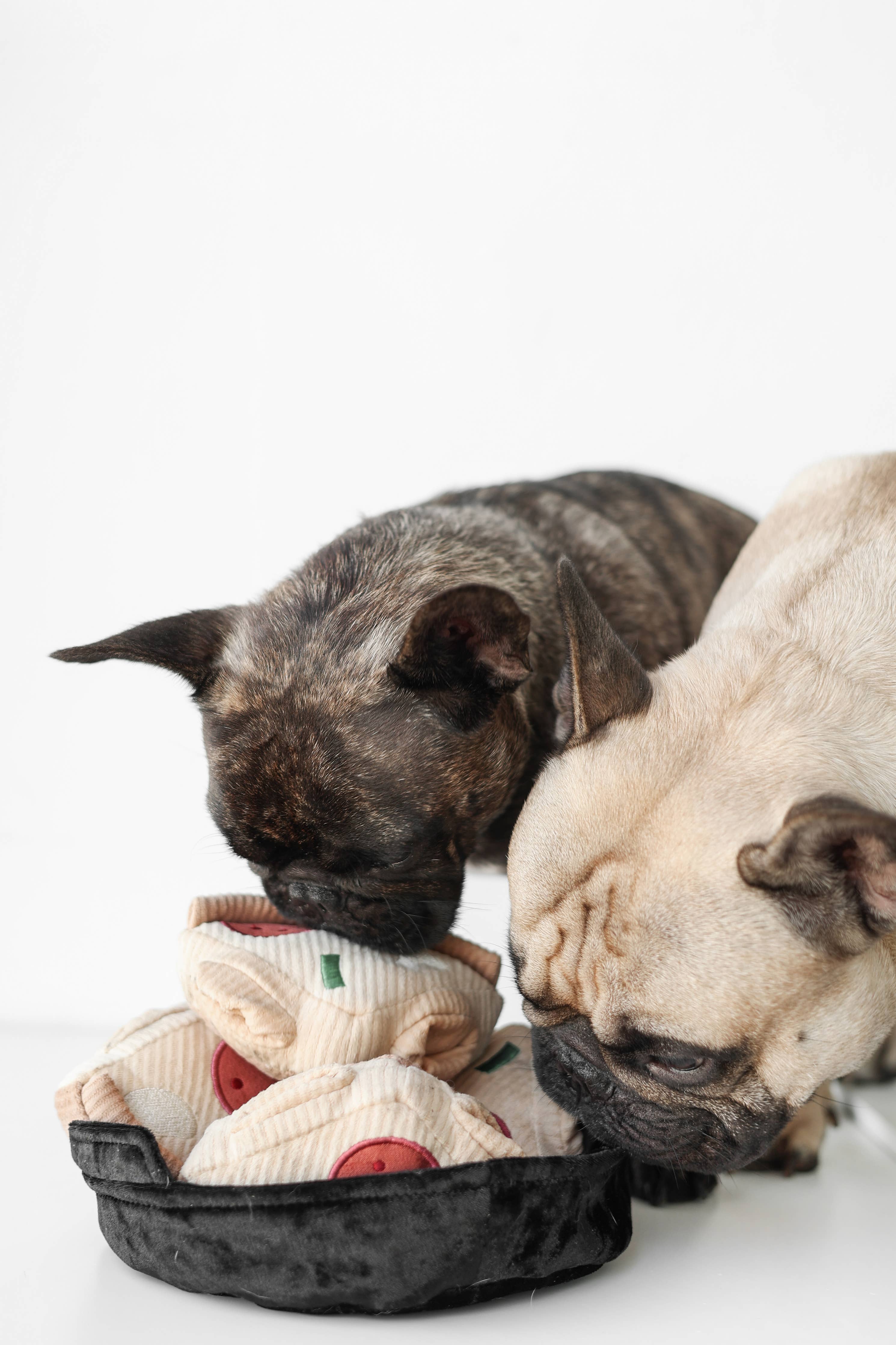 DEEP DISH PIZZA // ENRICHMENT DOG TOY // Squeaky + Snuffle - Crew LaLa