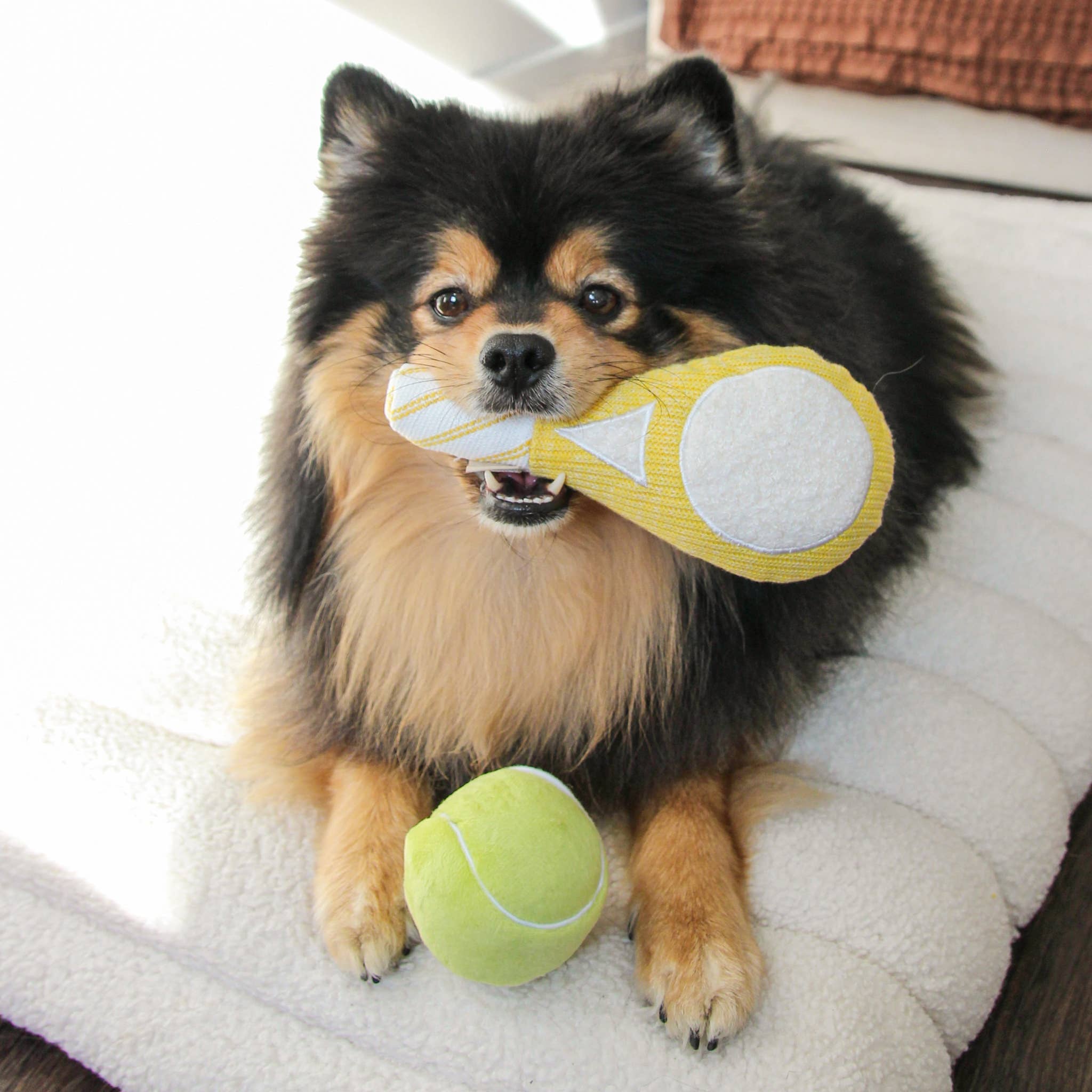 TENNIS POP // ENRICHMENT DOG TOY // Squeaky Ball Set - Crew LaLa