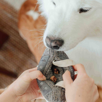 CASSETTE // ENRICHMENT DOG TOY // SNUFFLE TOY - Crew LaLa