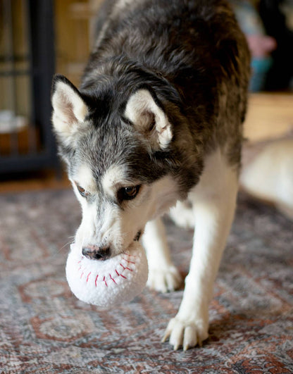 ThoozyPet Baseball Plush Dog Toy 4"