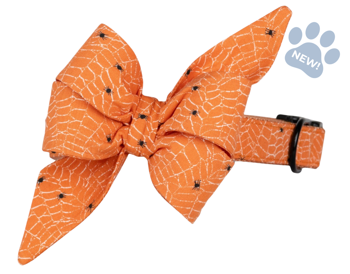 Itsy Bitsy Belle Bow Collar