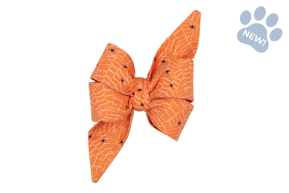 Itsy Bitsy Belle Bow Collar