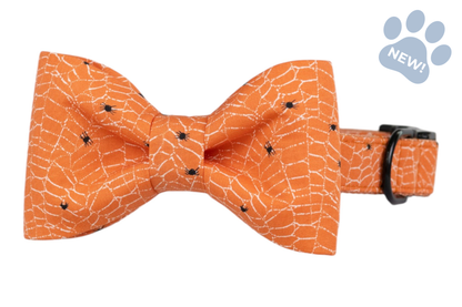 Itsy Bitsy Bow Tie Collar